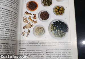 imagem_2