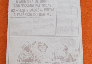 imagem_8