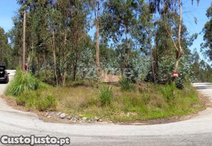 Terreno Florestal 20000 M2 Em Vilarinho Das Cambas