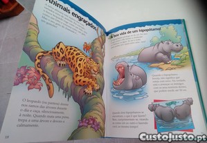 imagem_6