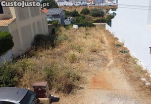 imagem_11