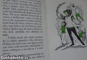 imagem_5