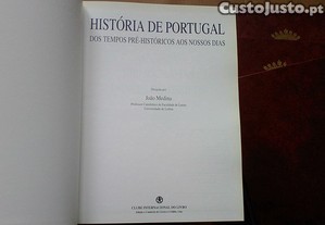 imagem_6