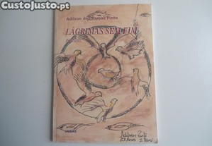 imagem_1