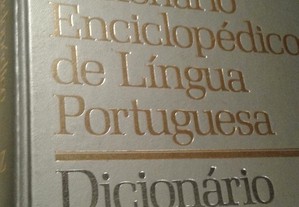 Dicionário língua portuguesa, como novo