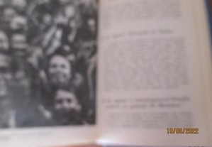 imagem_7