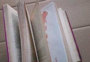 imagem_6