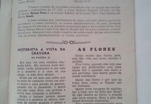 imagem_5