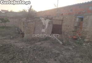 imagem_19