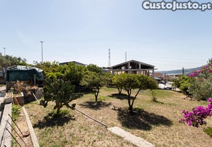 imagem_16
