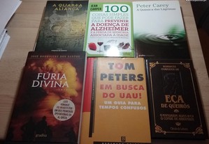 imagem_6