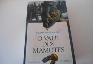 imagem_4