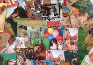 imagem_2