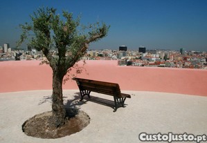imagem_21