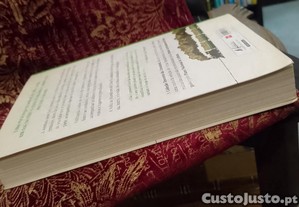 imagem_6