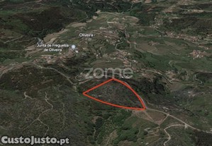 Terreno Rustico Em Fonte Arcada E Oliveira...