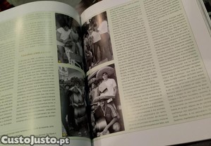 imagem_7