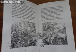 imagem_2