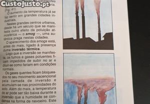 imagem_7