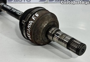imagem_3