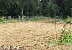 Terreno Rústico Com 5.670 M2 Em Fradelos V.N....