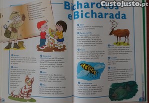 imagem_5