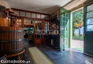 Quinta Em Alojamento Local Com Terreno De...