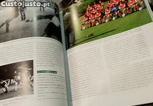 imagem_8