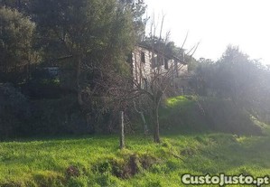 imagem_31