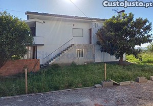 imagem_19
