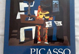 Picasso 1974 de Draegen
