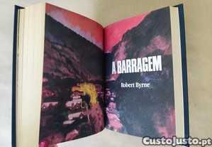imagem_6