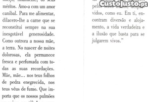 imagem_8