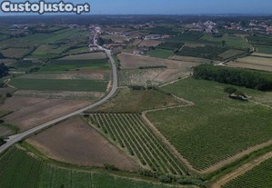 imagem_6