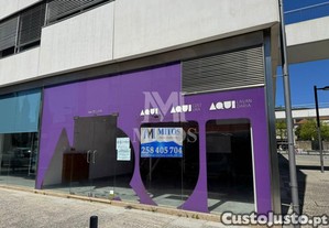 Loja Viana do Castelo