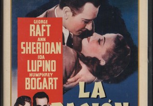 Dvd Vidas Nocturnas - drama - Humphrey Bogart - film noir - extras