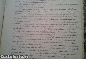 imagem_8