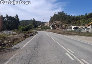 imagem_1