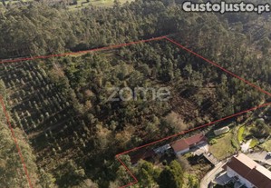 Terreno Rustico Com 22500 M2, Em Argoncilhe,...