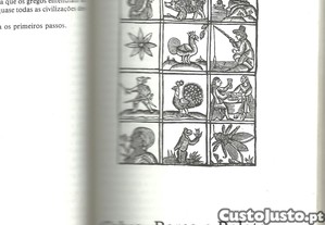 imagem_7