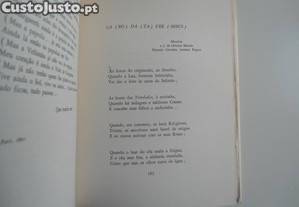 imagem_8