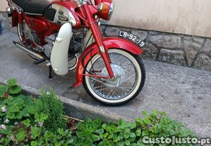 imagem_5