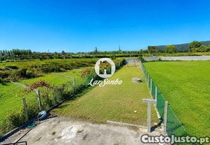 imagem_23