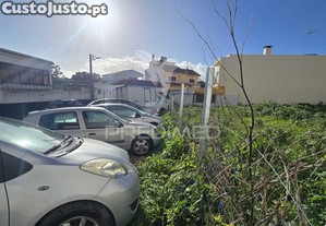 imagem_8