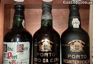 imagem_1