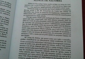 imagem_7