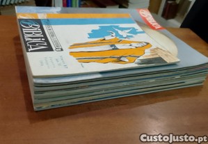 imagem_11