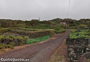 Terreno em Piedade