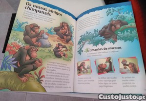 imagem_8