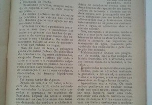 imagem_4